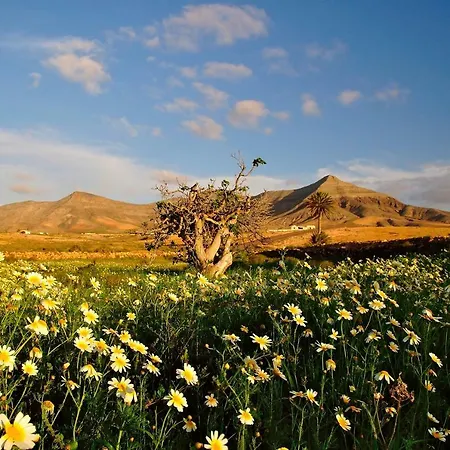 Sailor Lovers - Jacuzzi Fuerteventura グラン・タラハル