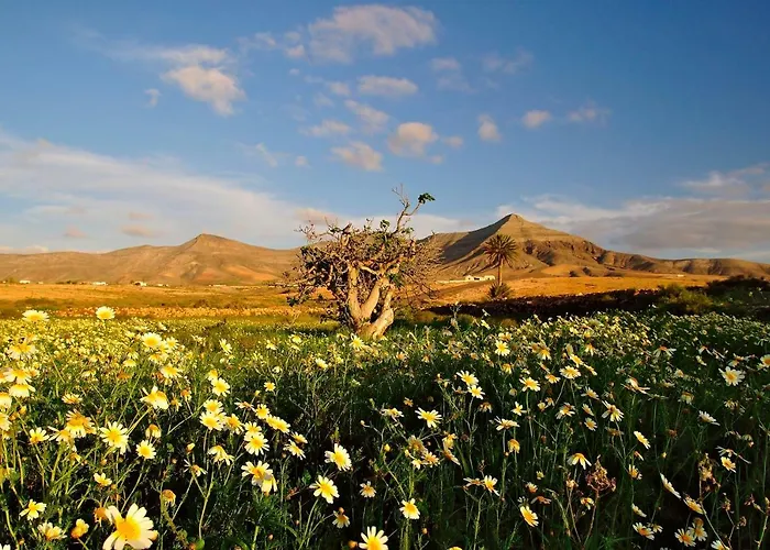 Sailor Lovers - Jacuzzi Fuerteventura Gran Tarajal